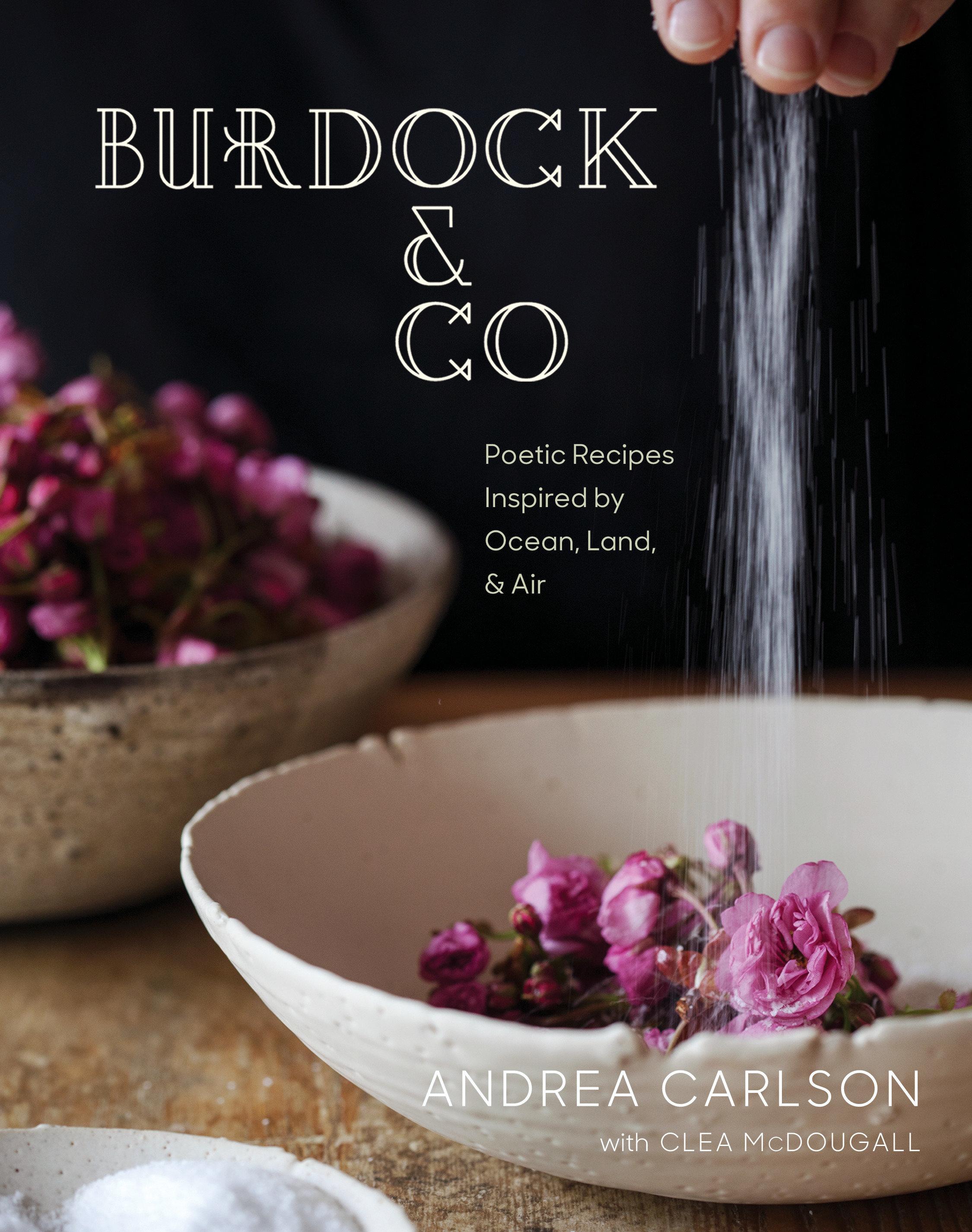 Vorderes Coverbild Burdock & Co