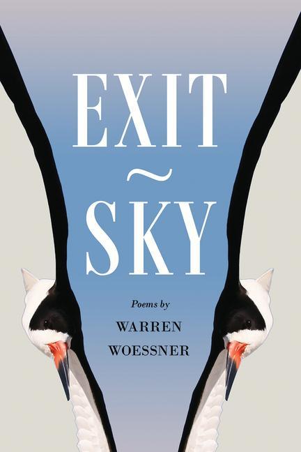 Vorderes Coverbild Exit-Sky