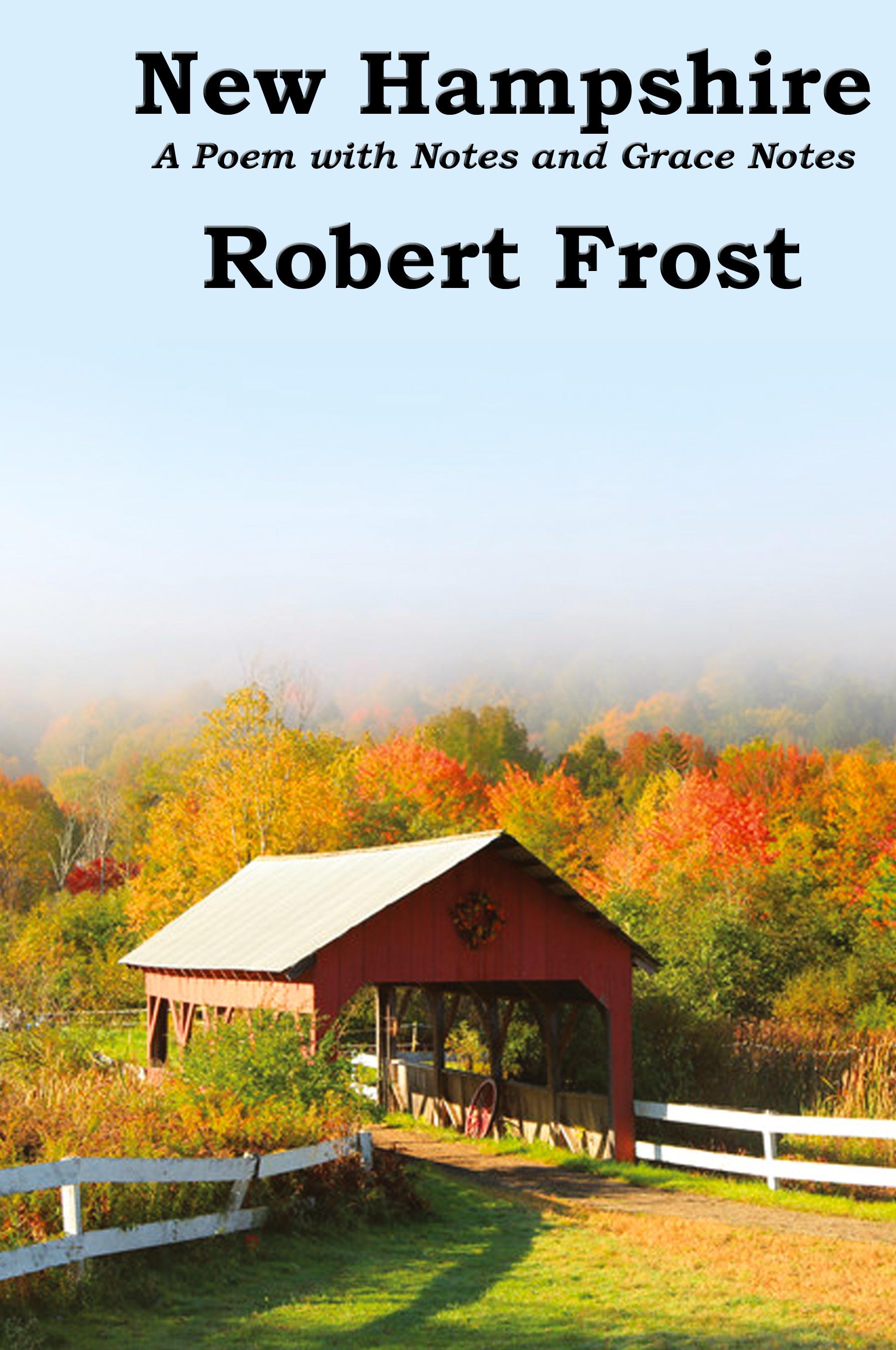 Vorderes Coverbild New Hampshire