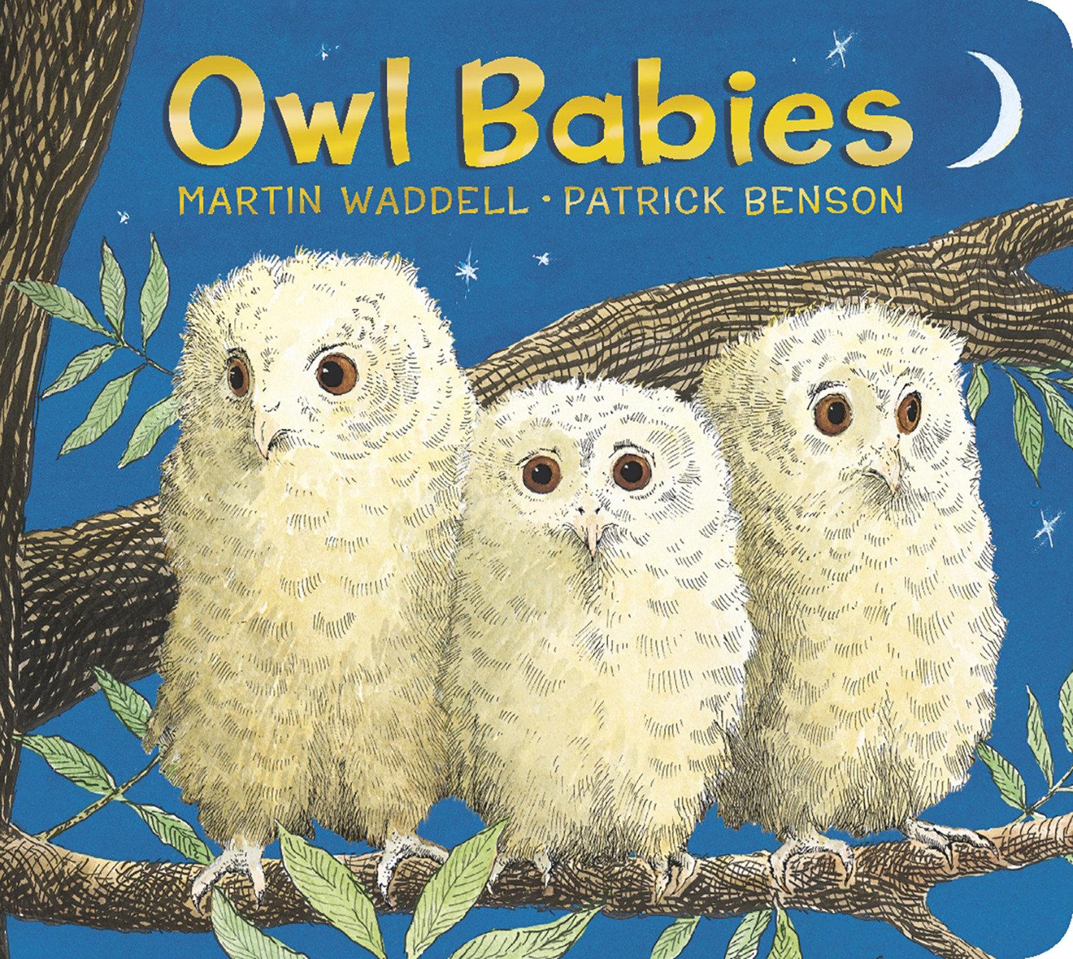 Vorderes Coverbild Owl Babies Padded Board Book