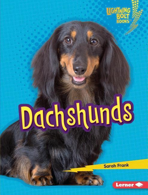 Vorderes Coverbild Dachshunds