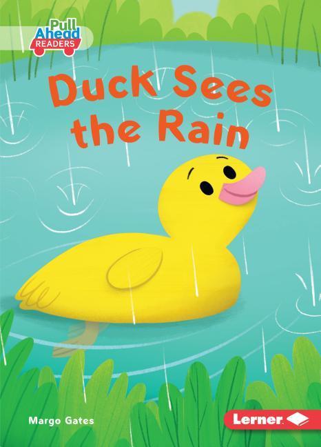 Vorderes Coverbild Duck Sees the Rain