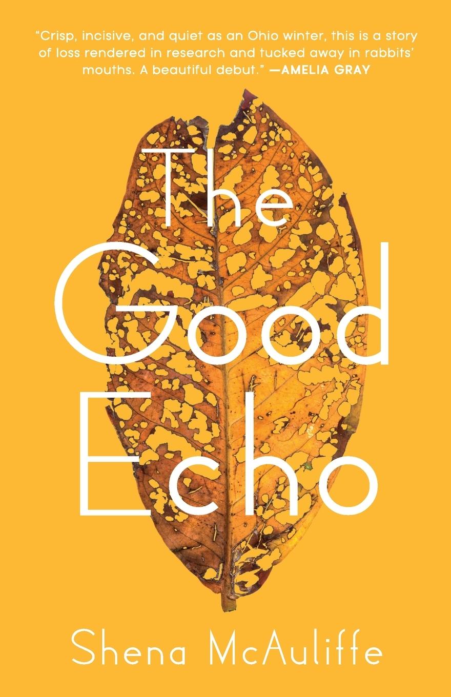 Vorderes Coverbild The Good Echo