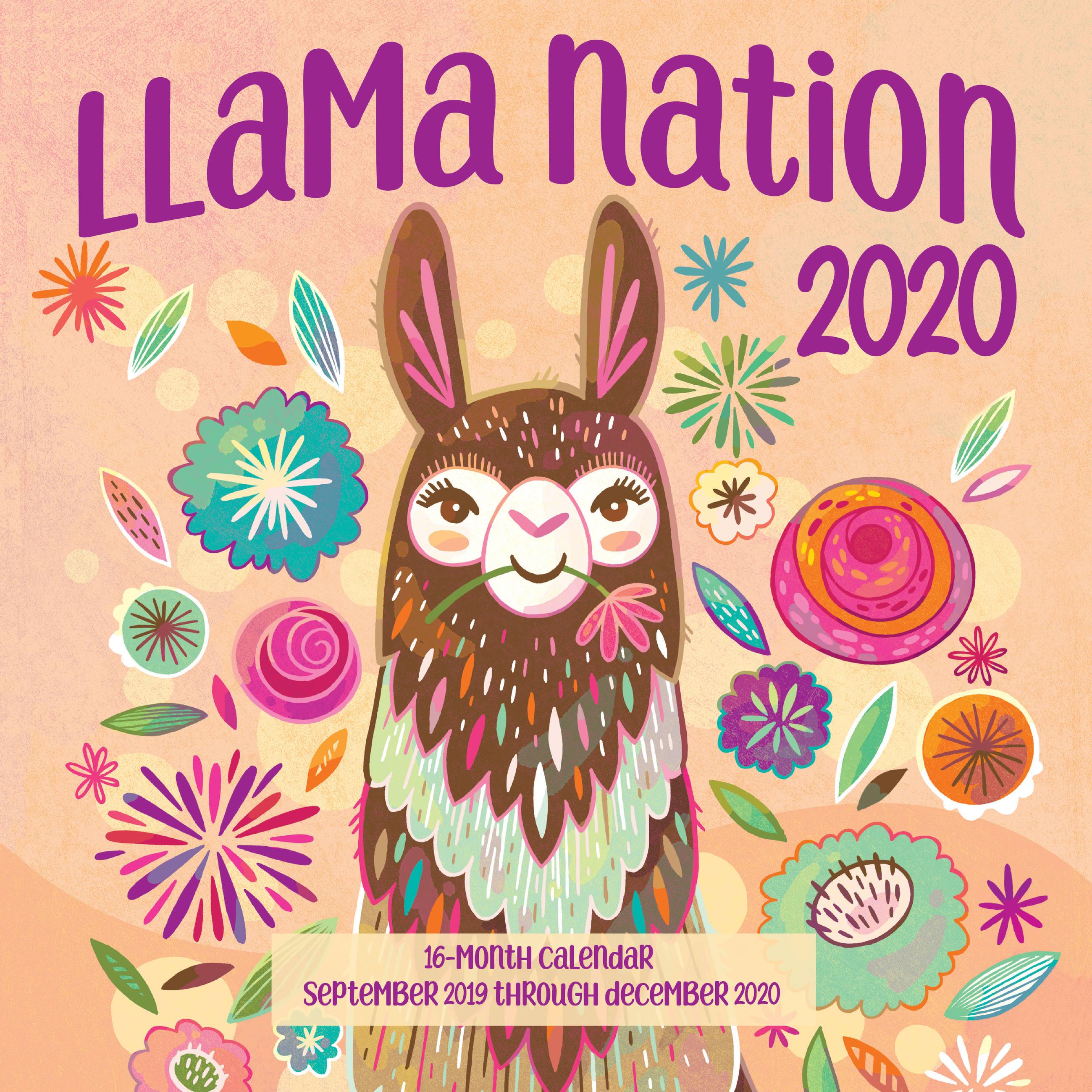 Vorderes Coverbild Llama Nation 2020