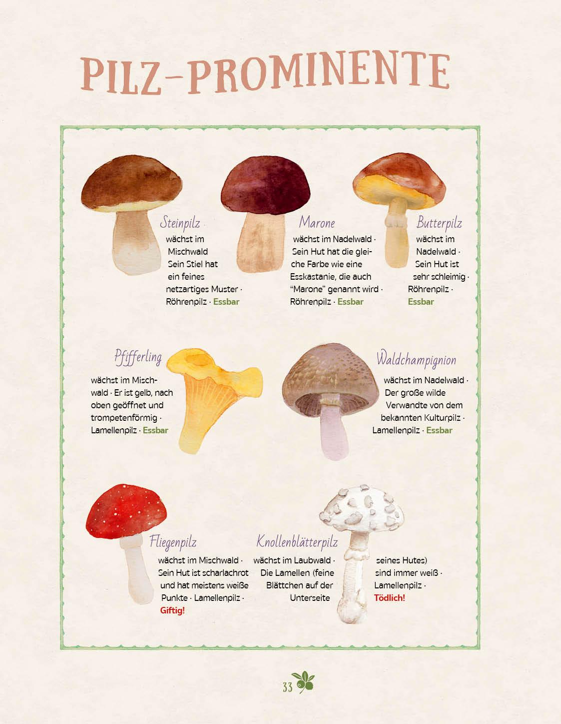Beispielinhalt (Bild) Waldfibel