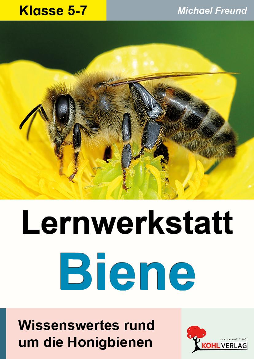 Vorderes Coverbild Lernwerkstatt Biene