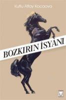 Vorderes Coverbild Bozkirin Isyani