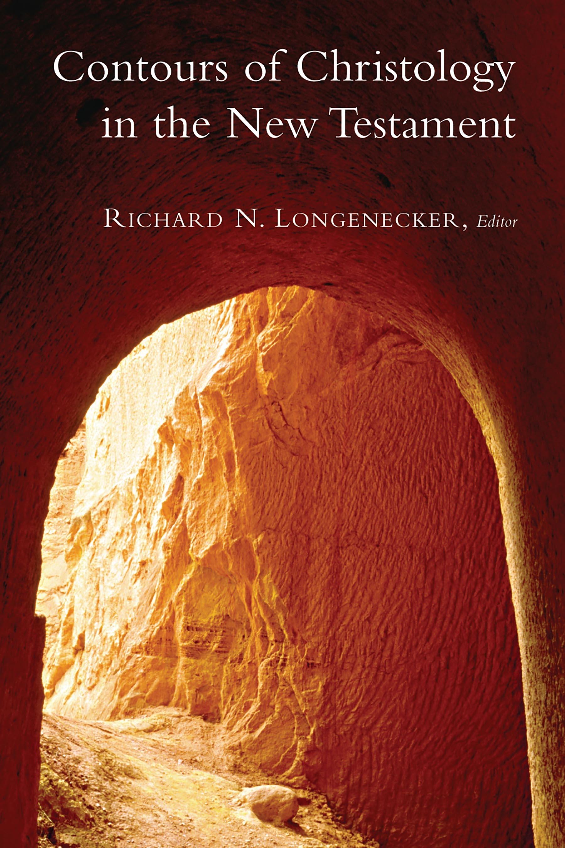 Vorderes Coverbild Contours of Christology in the New Testament