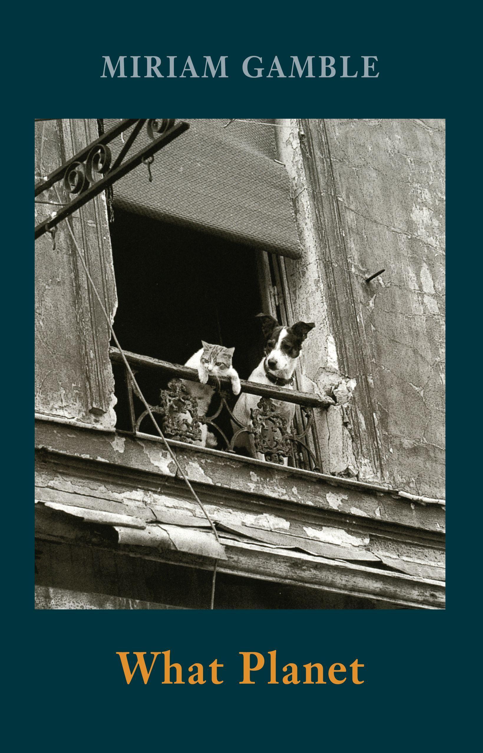 Vorderes Coverbild What Planet