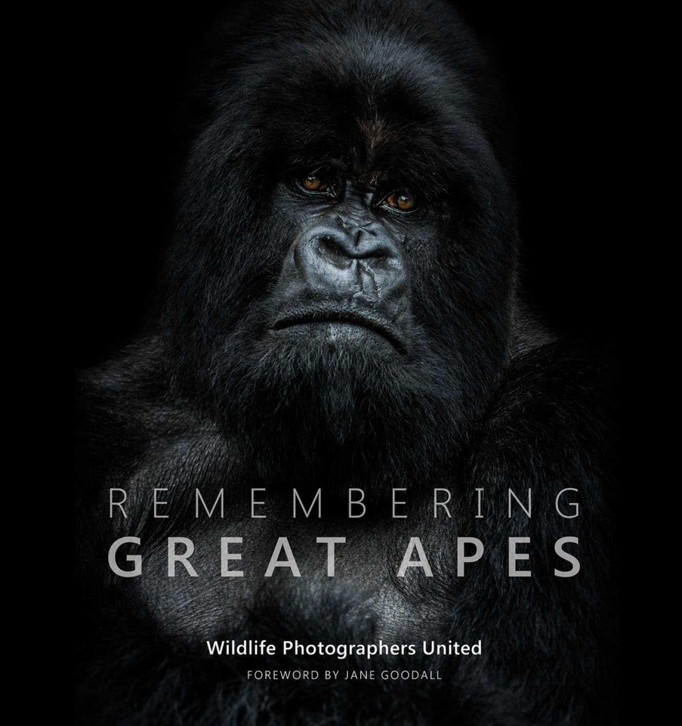 Vorderes Coverbild Remembering Great Apes