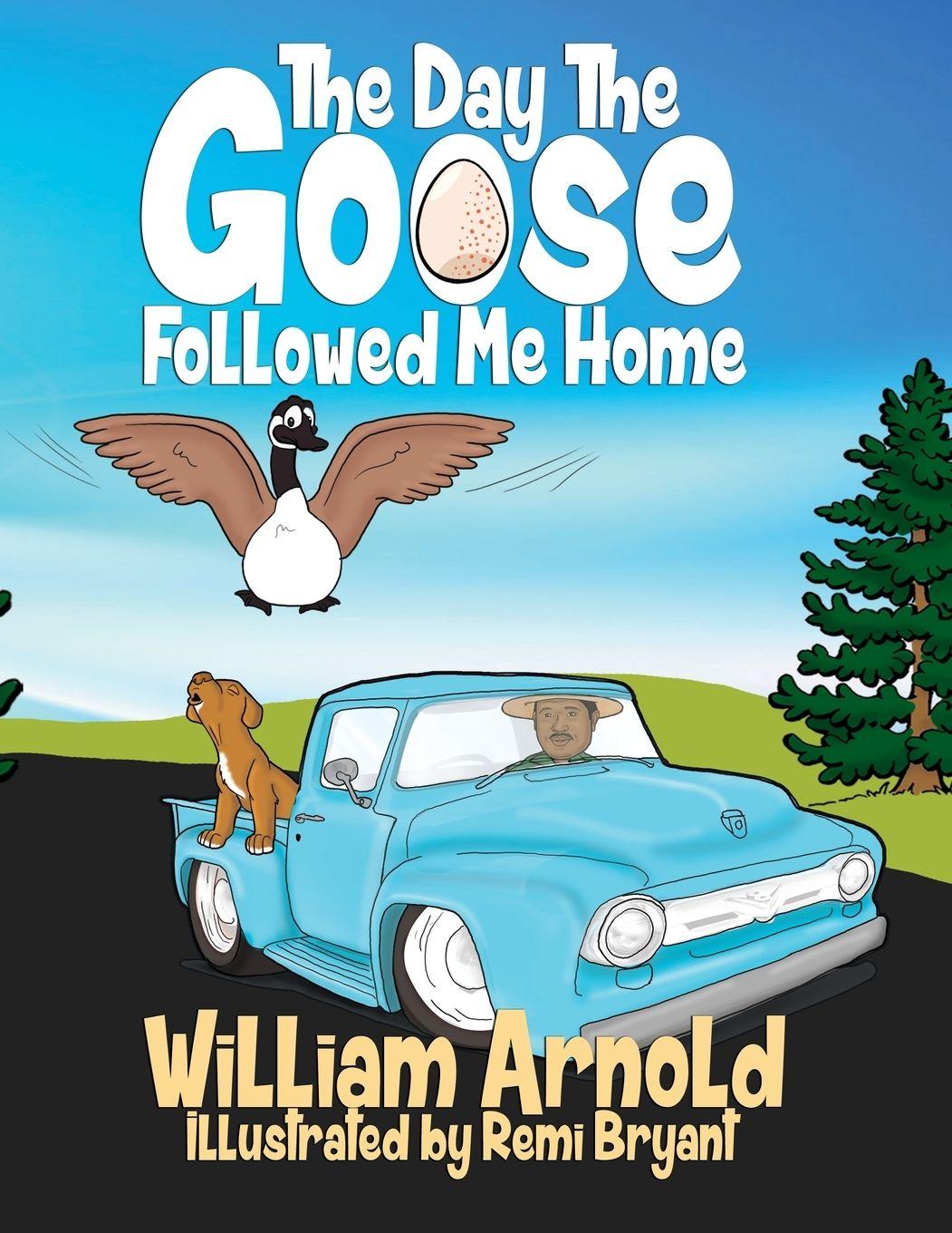 Vorderes Coverbild The Day The Goose Followed Me Home