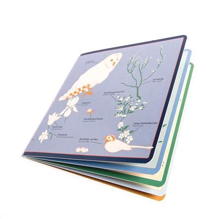 Beispielinhalt (Bild) Kleine Vogel-Wunderkammer