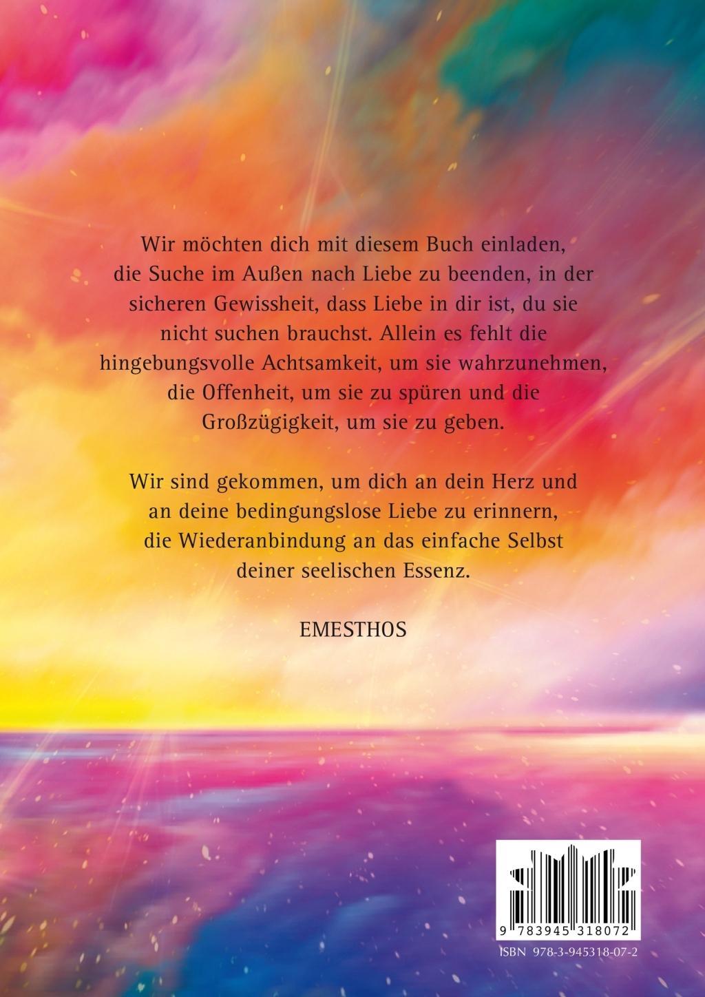 Beispielinhalt (Bild) Die Reise ins Herz Band 1