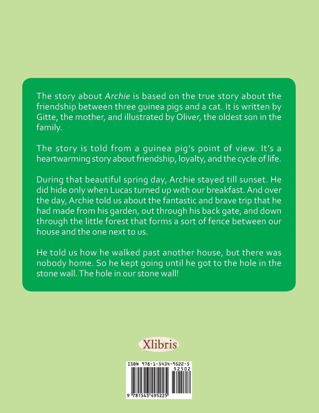 Rückseitencover Archie and the Hole in the Wall