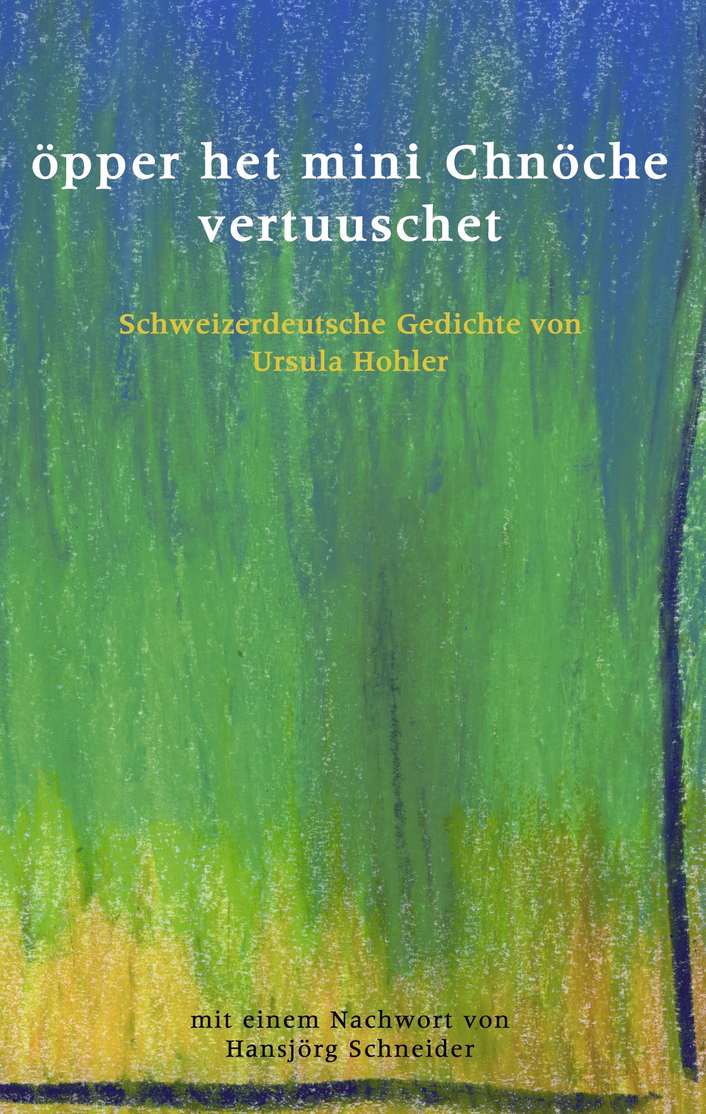 Vorderes Coverbild öpper het mini Chnöche vertuuschet