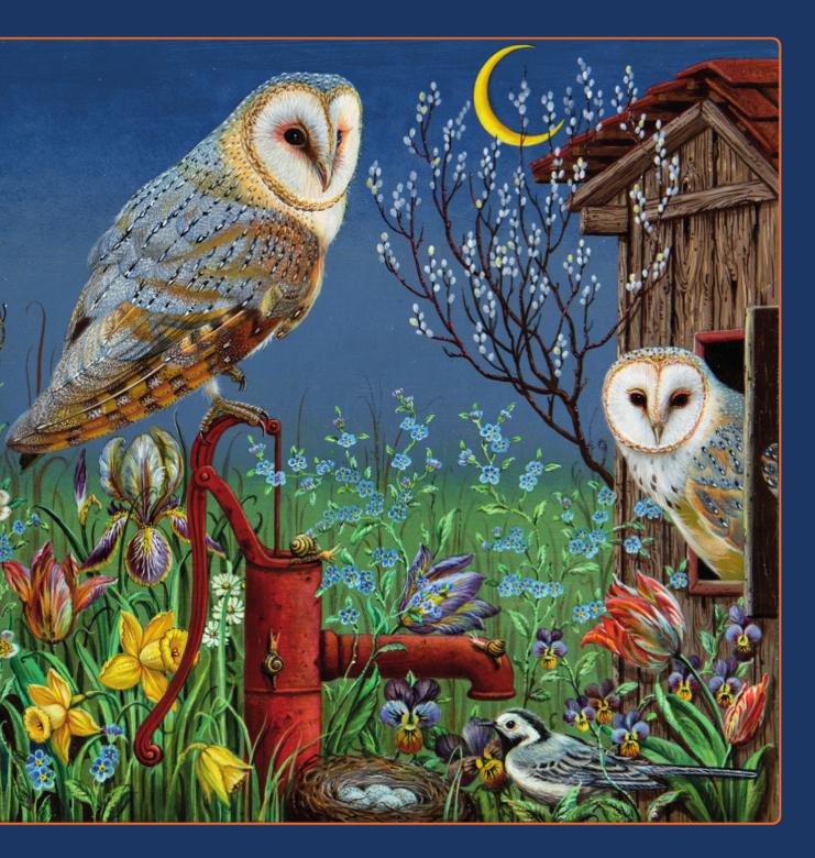 Vorderes Coverbild Kleine Vogel-Wunderkammer