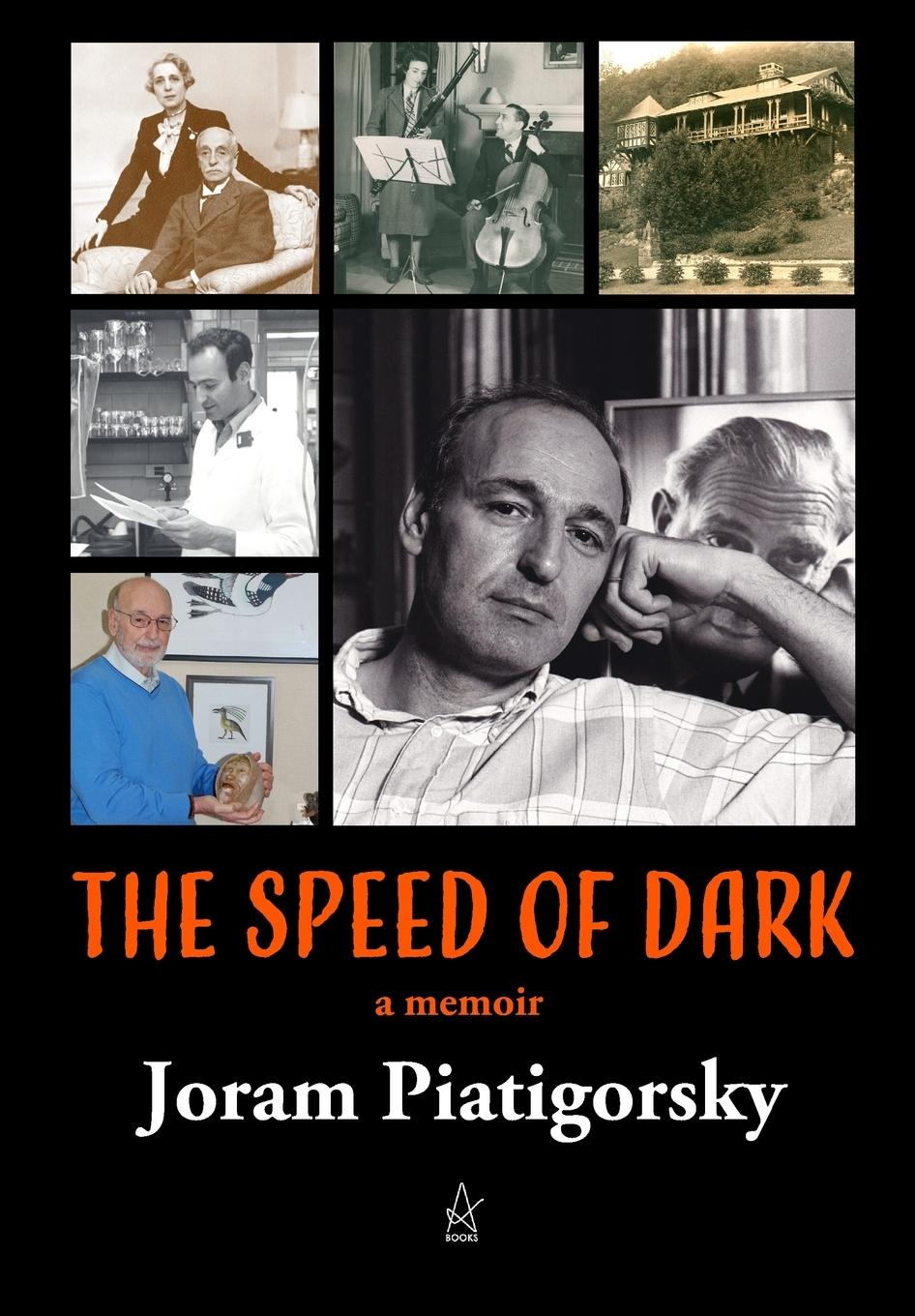 Vorderes Coverbild The Speed of Dark