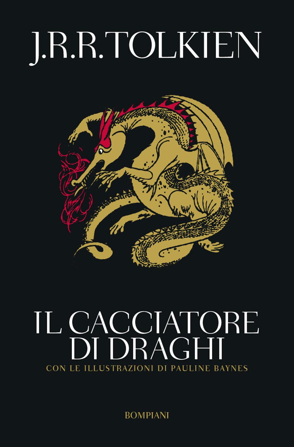 Vorderes Coverbild Il cacciatore di Draghi