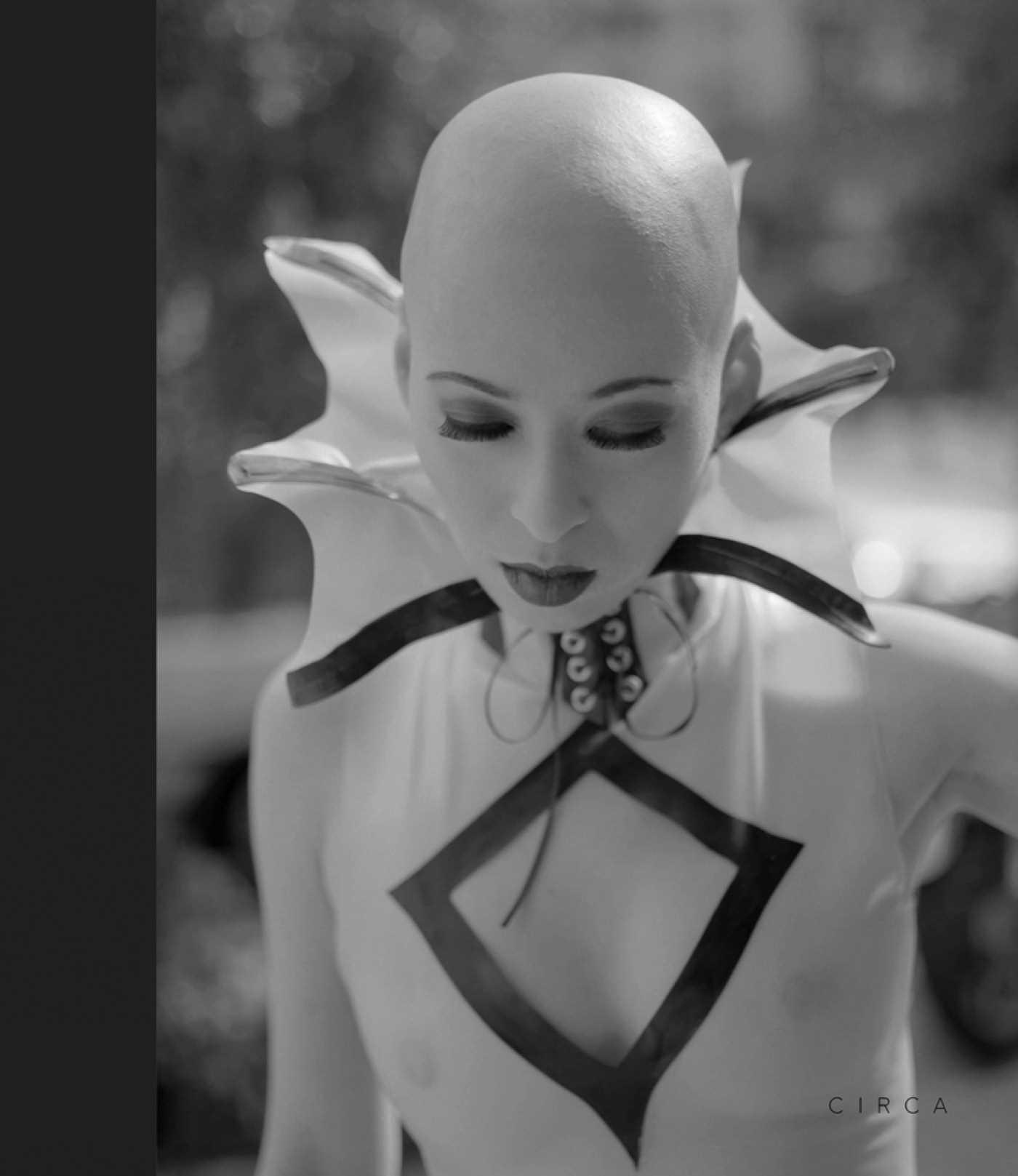 Vorderes Coverbild Steve Diet Goedde