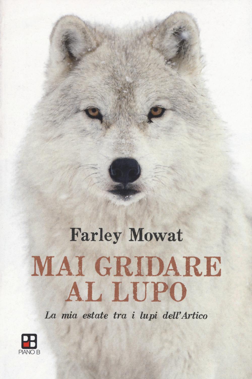 Vorderes Coverbild Mai gridare al lupo. La mia estate tra i lupi dell'Artico
