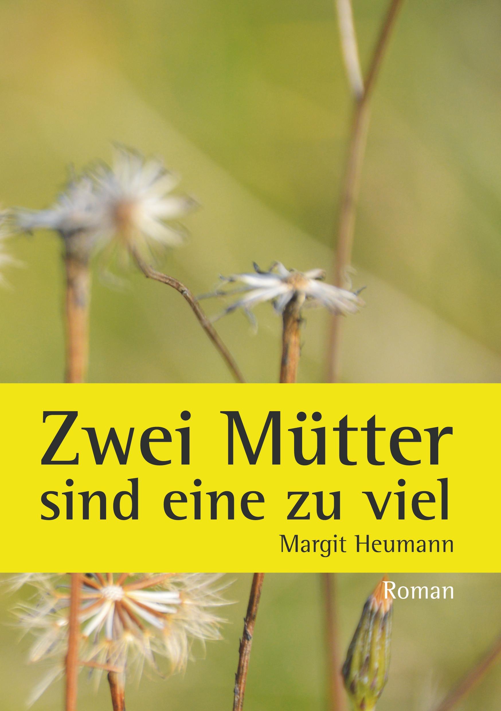 Vorderes Coverbild Zwei Mütter sind eine zu viel