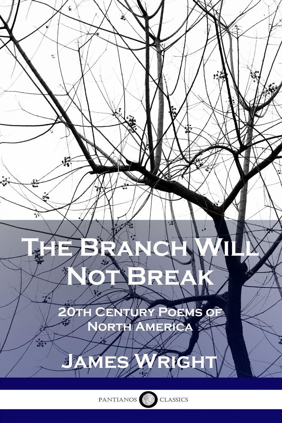 Vorderes Coverbild The Branch Will Not Break