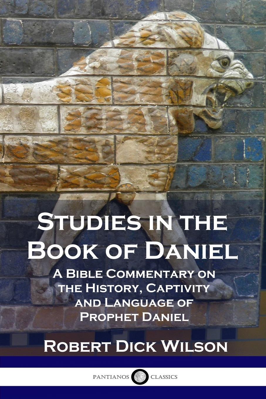 Vorderes Coverbild Studies in the Book of Daniel