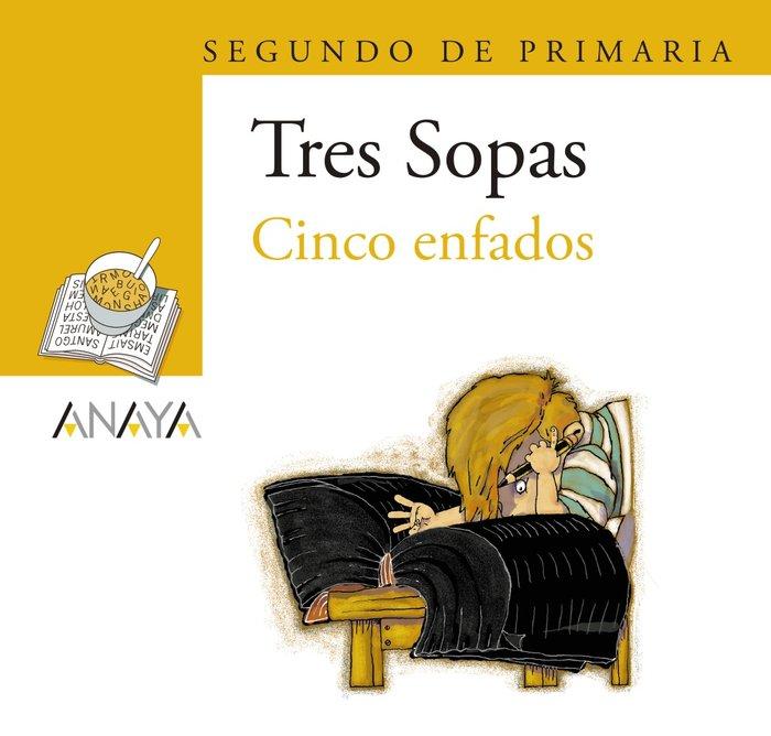 Vorderes Coverbild Cinco enfados