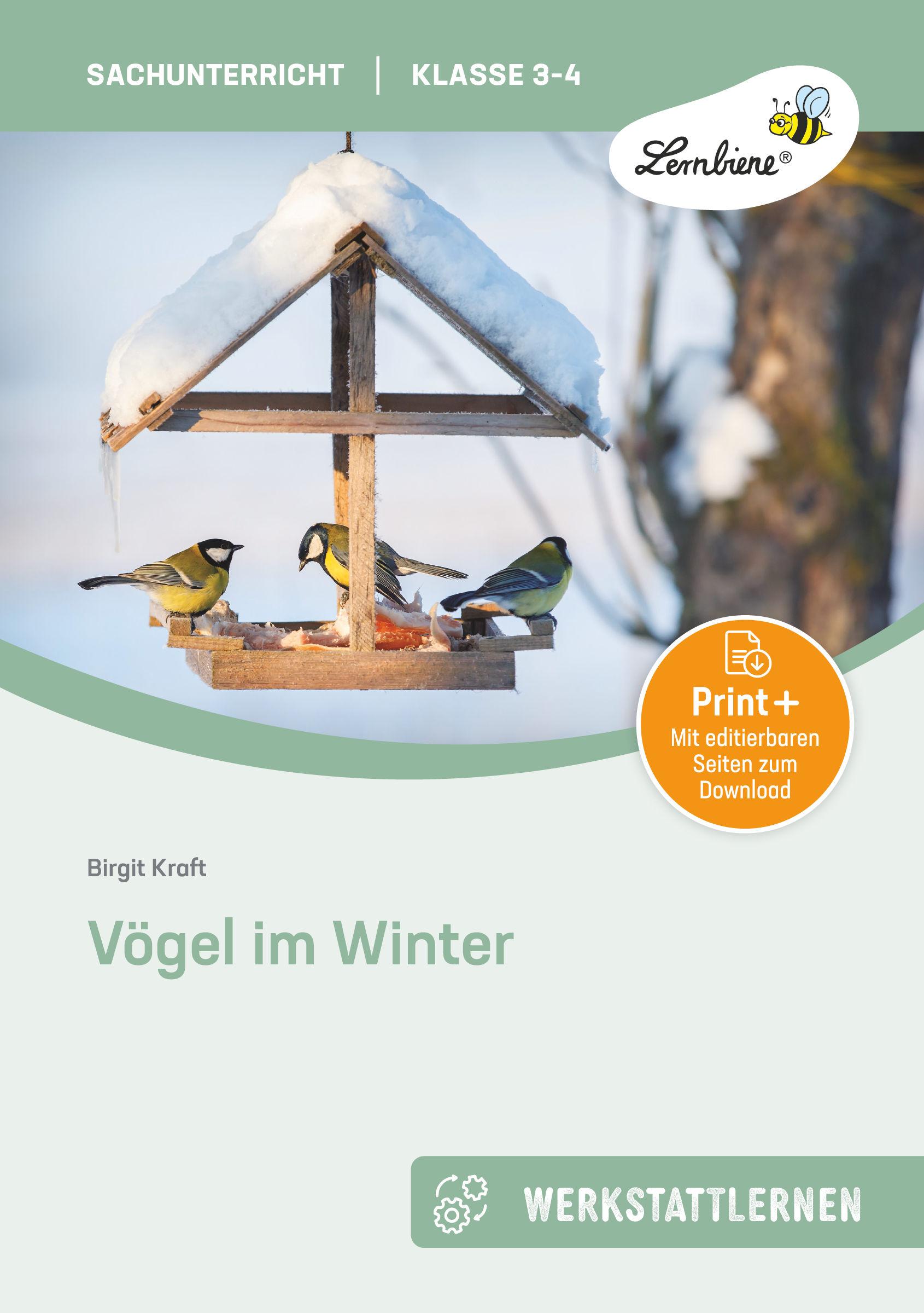 Vorderes Coverbild Vögel im Winter