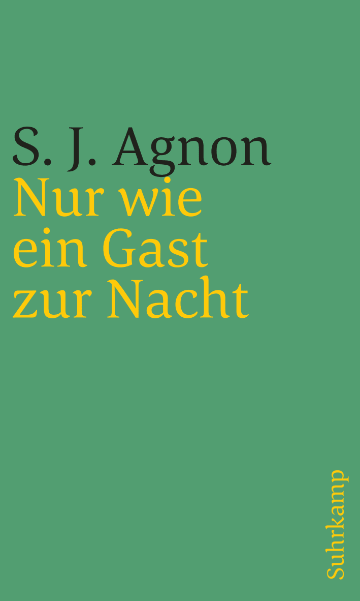 Vorderes Coverbild Nur wie ein Gast zur Nacht