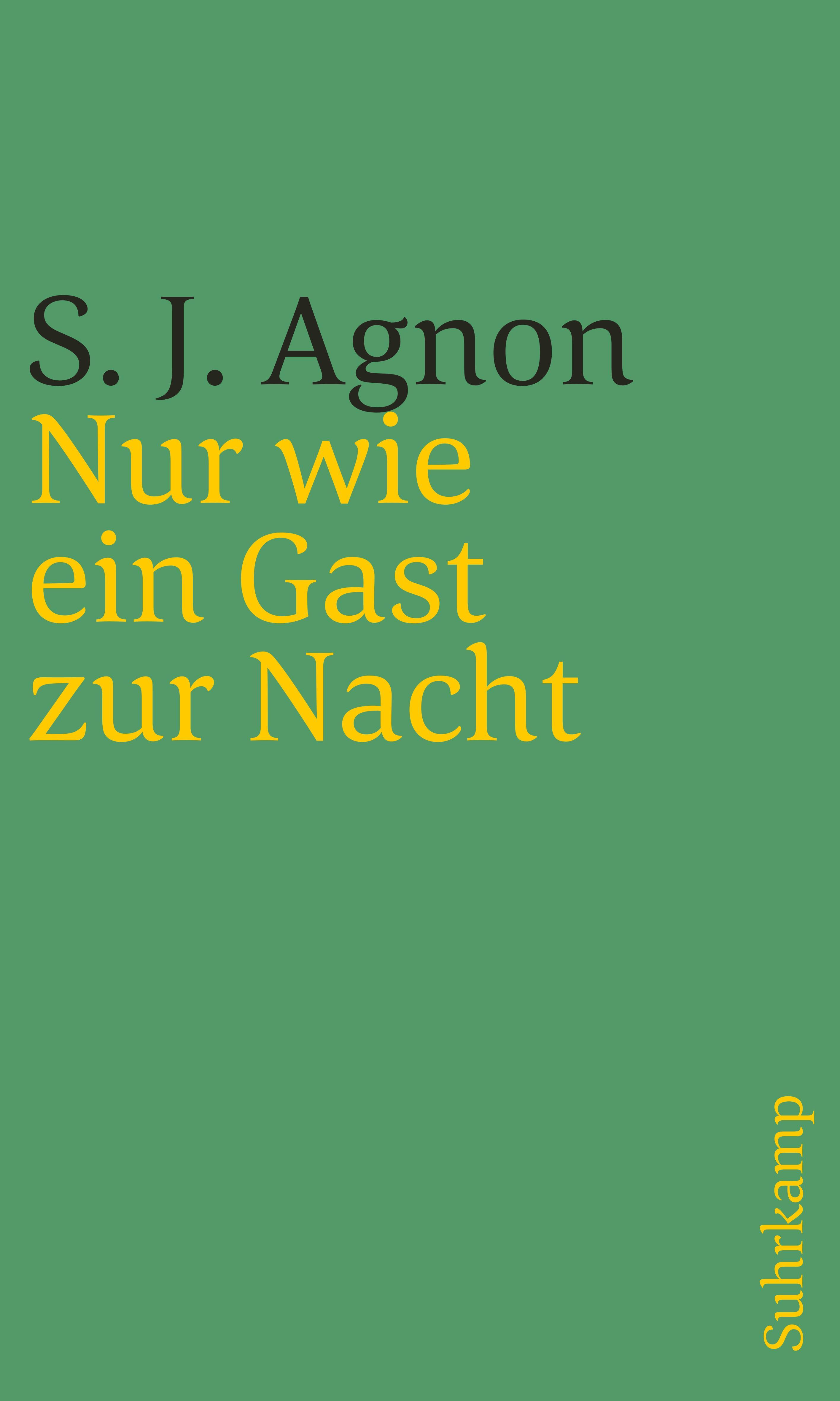 Vorderes Coverbild Nur wie ein Gast zur Nacht