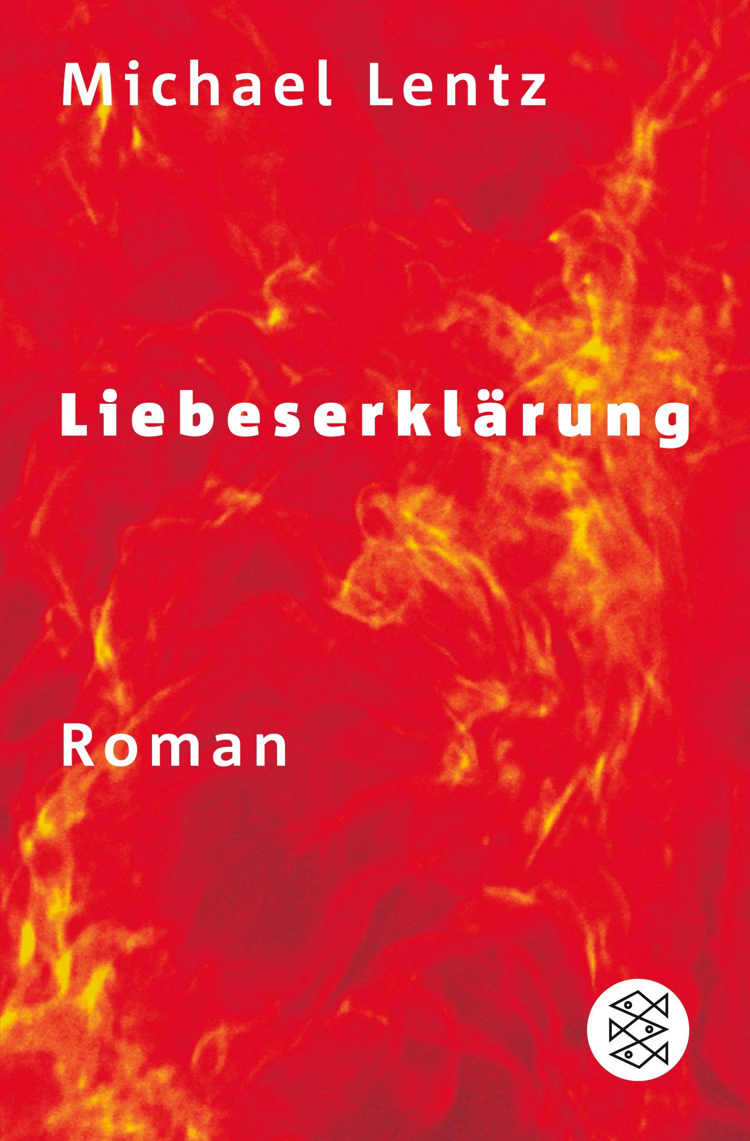 Vorderes Coverbild Liebeserklärung