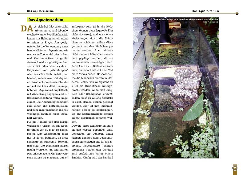 Beispielinhalt (Bild) Die Moschusschildkröte