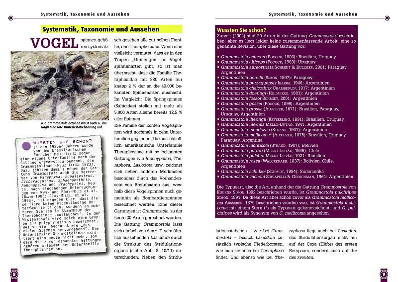 Beispielinhalt (Bild) Die Rote Chile-Vogelspinne + andere Grammostaola-Arten