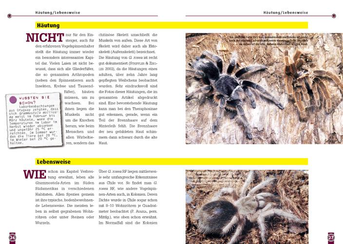 Beispielinhalt (Bild) Die Rote Chile-Vogelspinne + andere Grammostaola-Arten