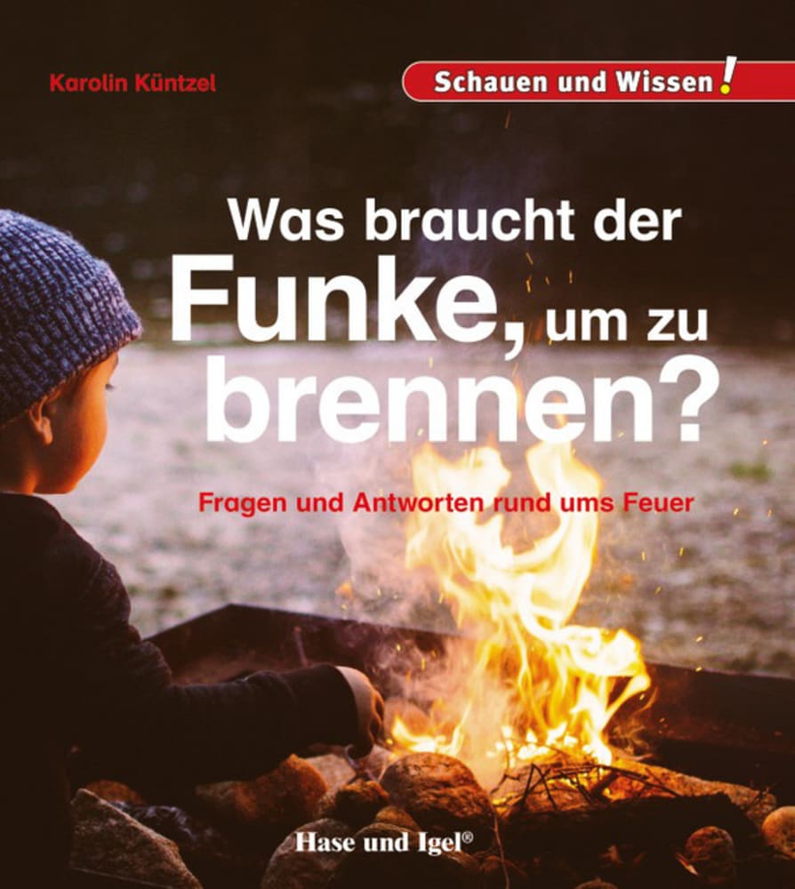Vorderes Coverbild Was braucht der Funke, um zu brennen?