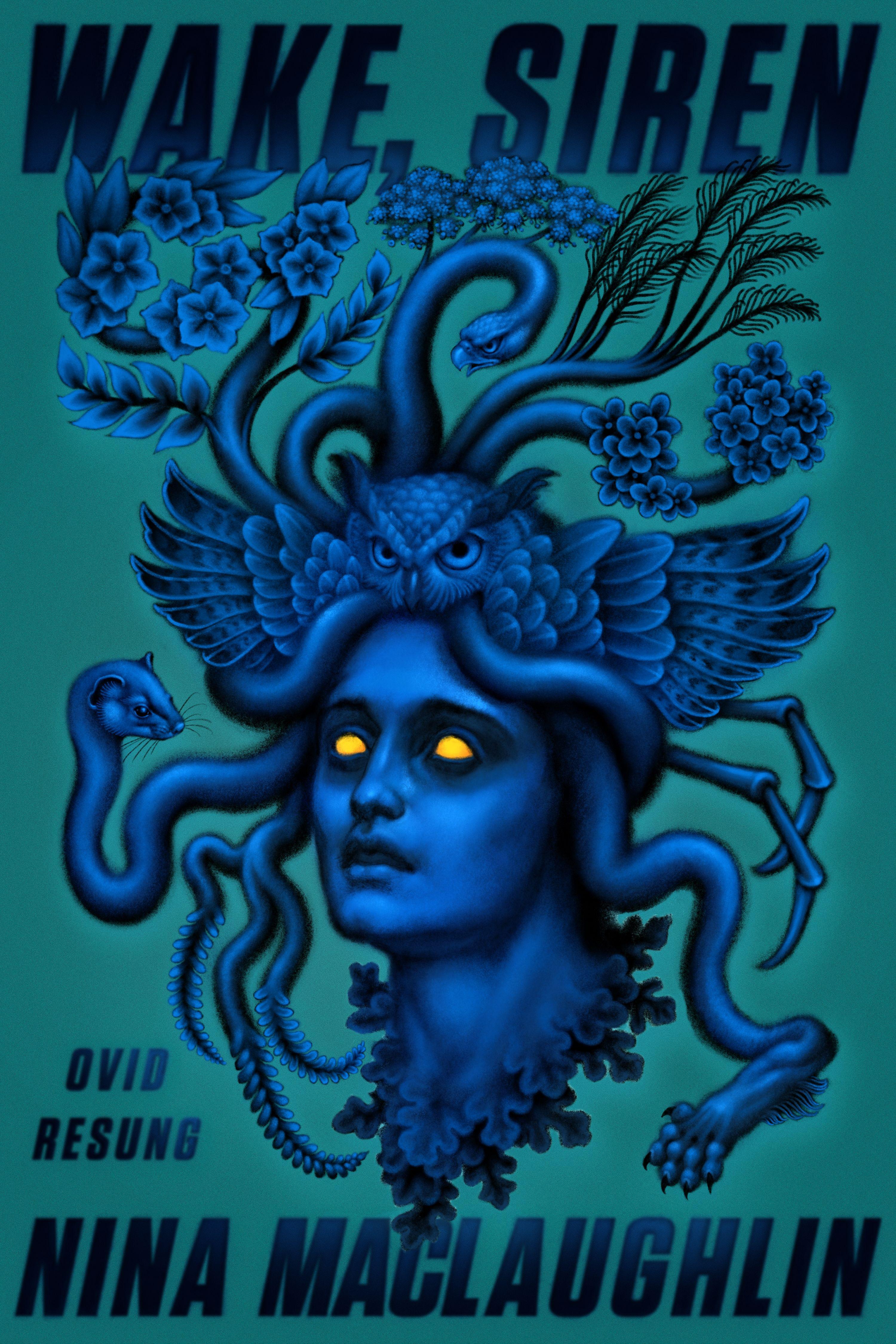 Vorderes Coverbild Wake, Siren