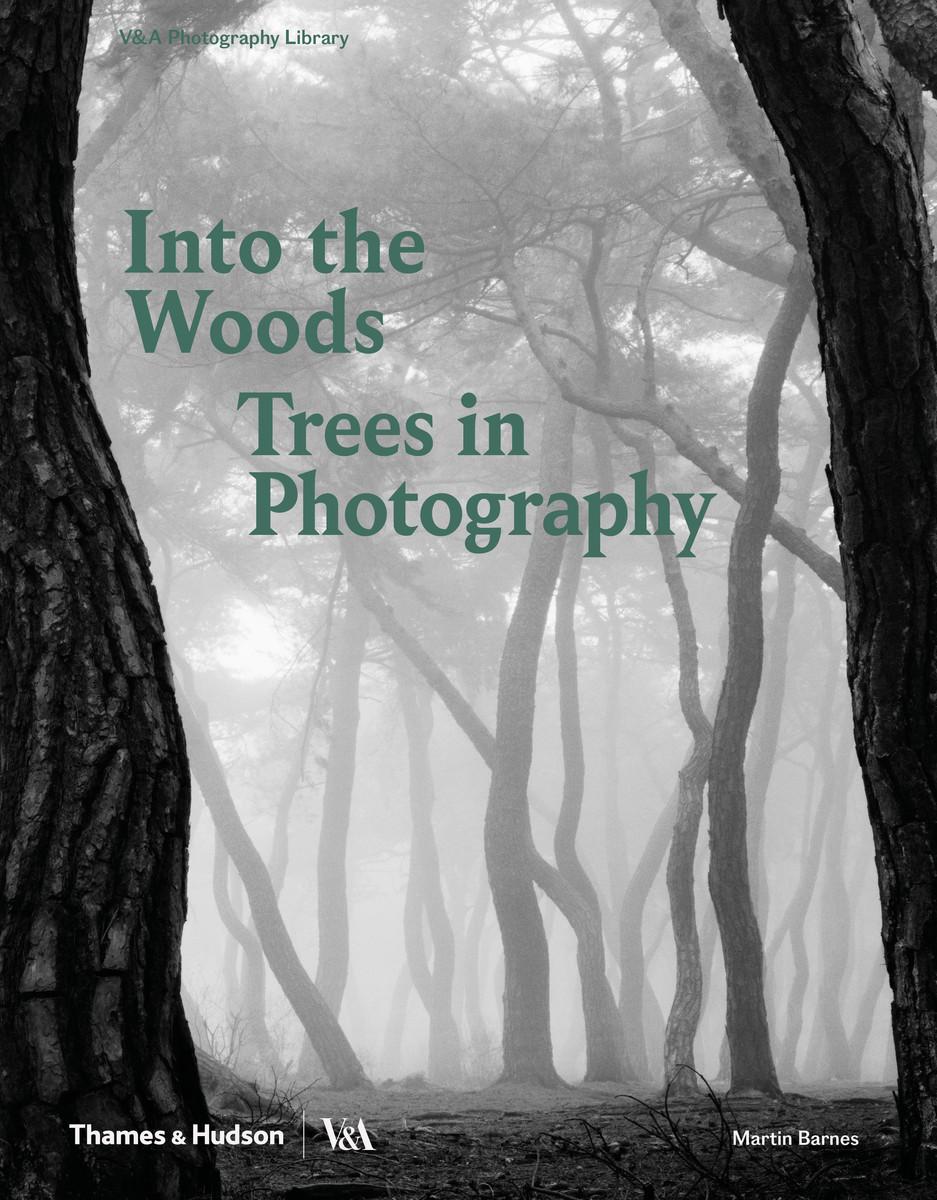 Vorderes Coverbild Into the Woods