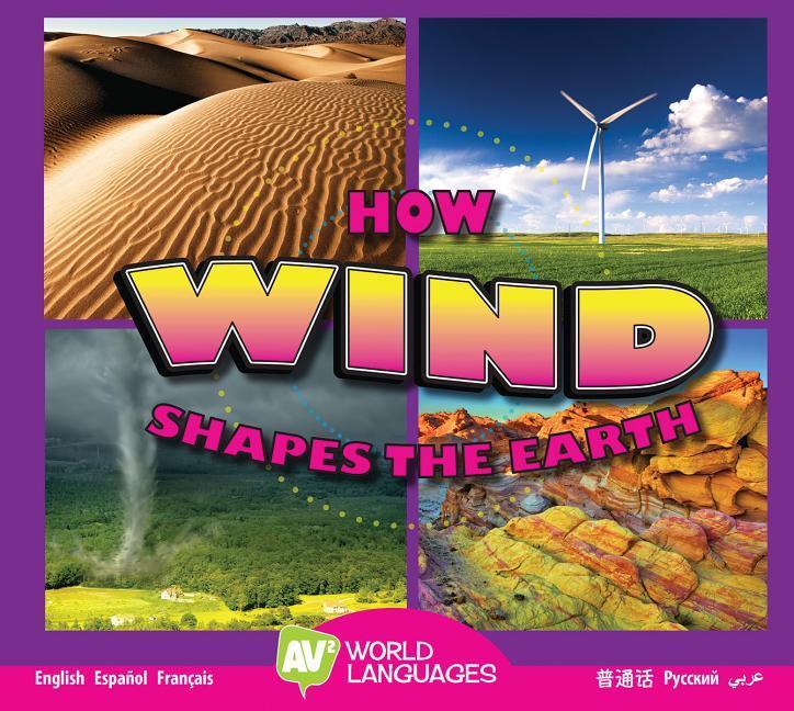Vorderes Coverbild How Wind Shapes the Earth