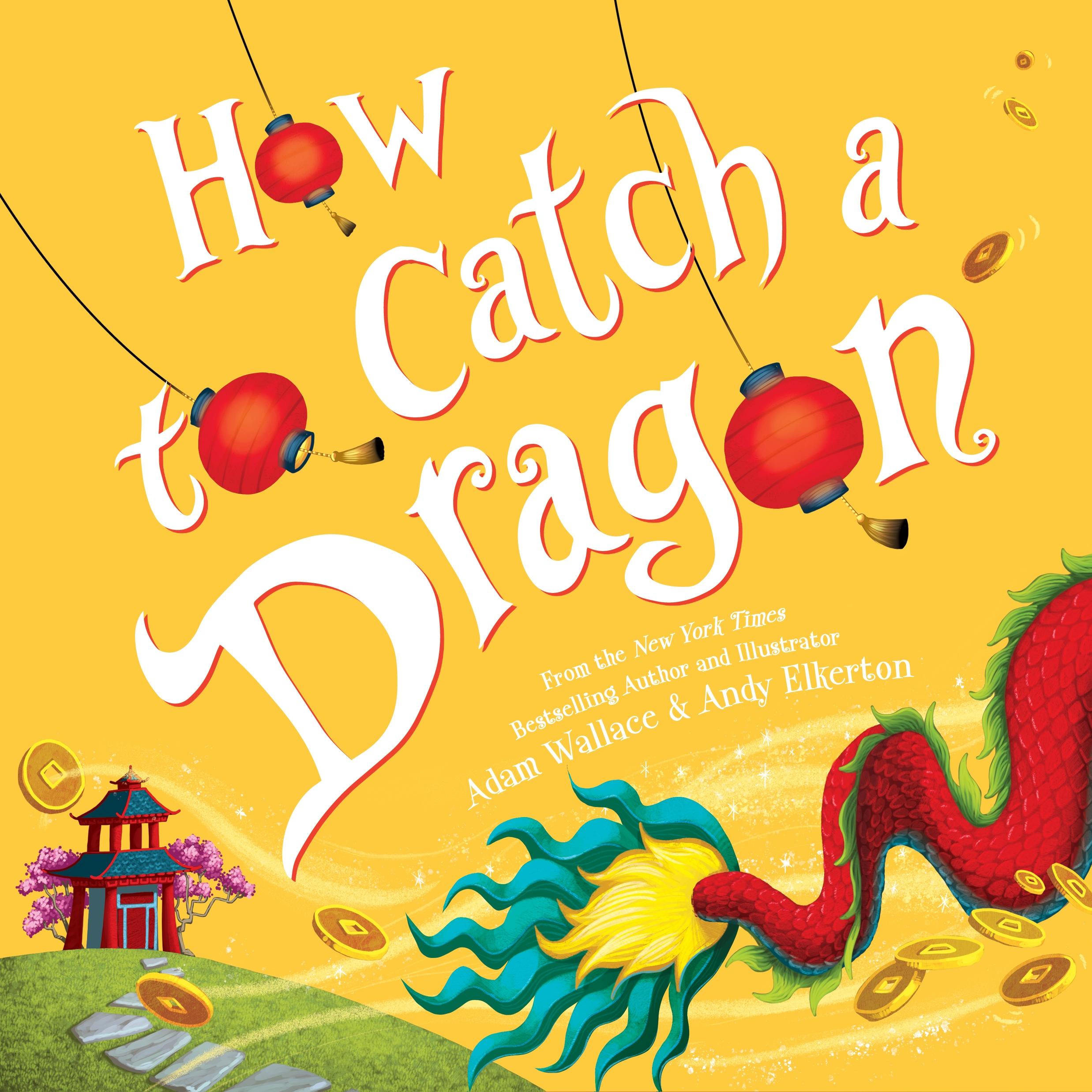 Vorderes Coverbild How to Catch a Dragon