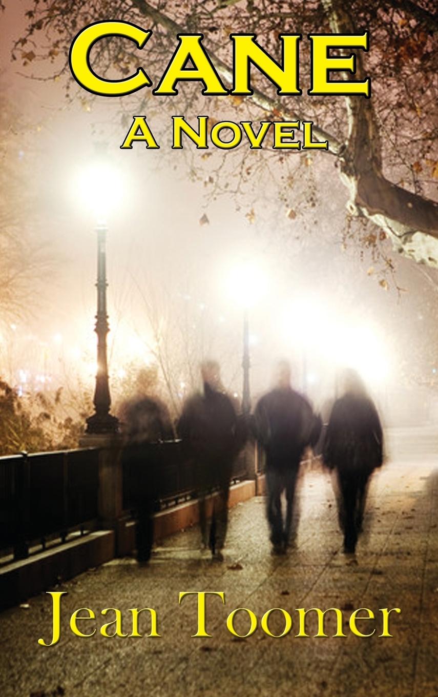 Vorderes Coverbild Cane A Novel