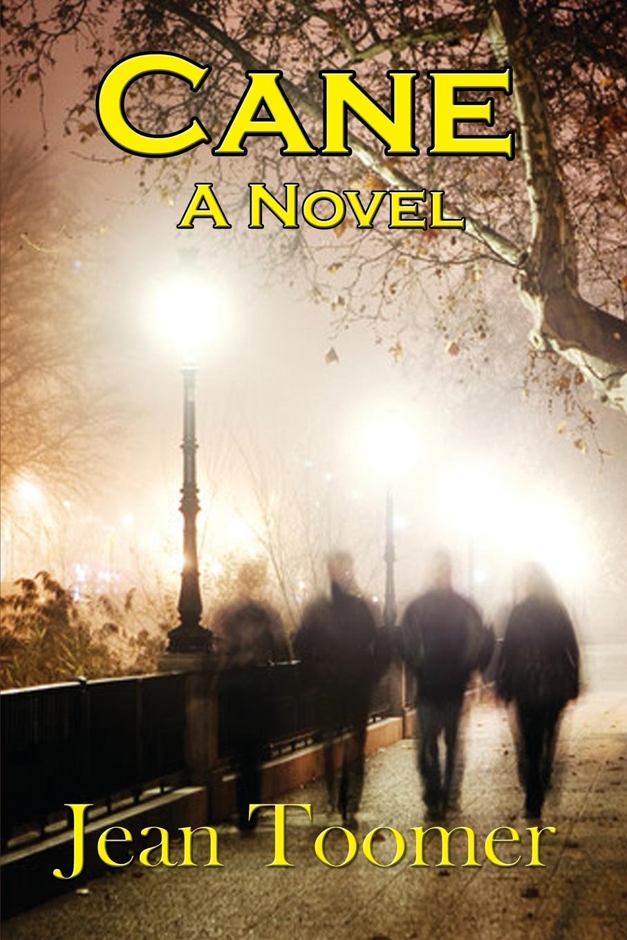 Vorderes Coverbild Cane A Novel