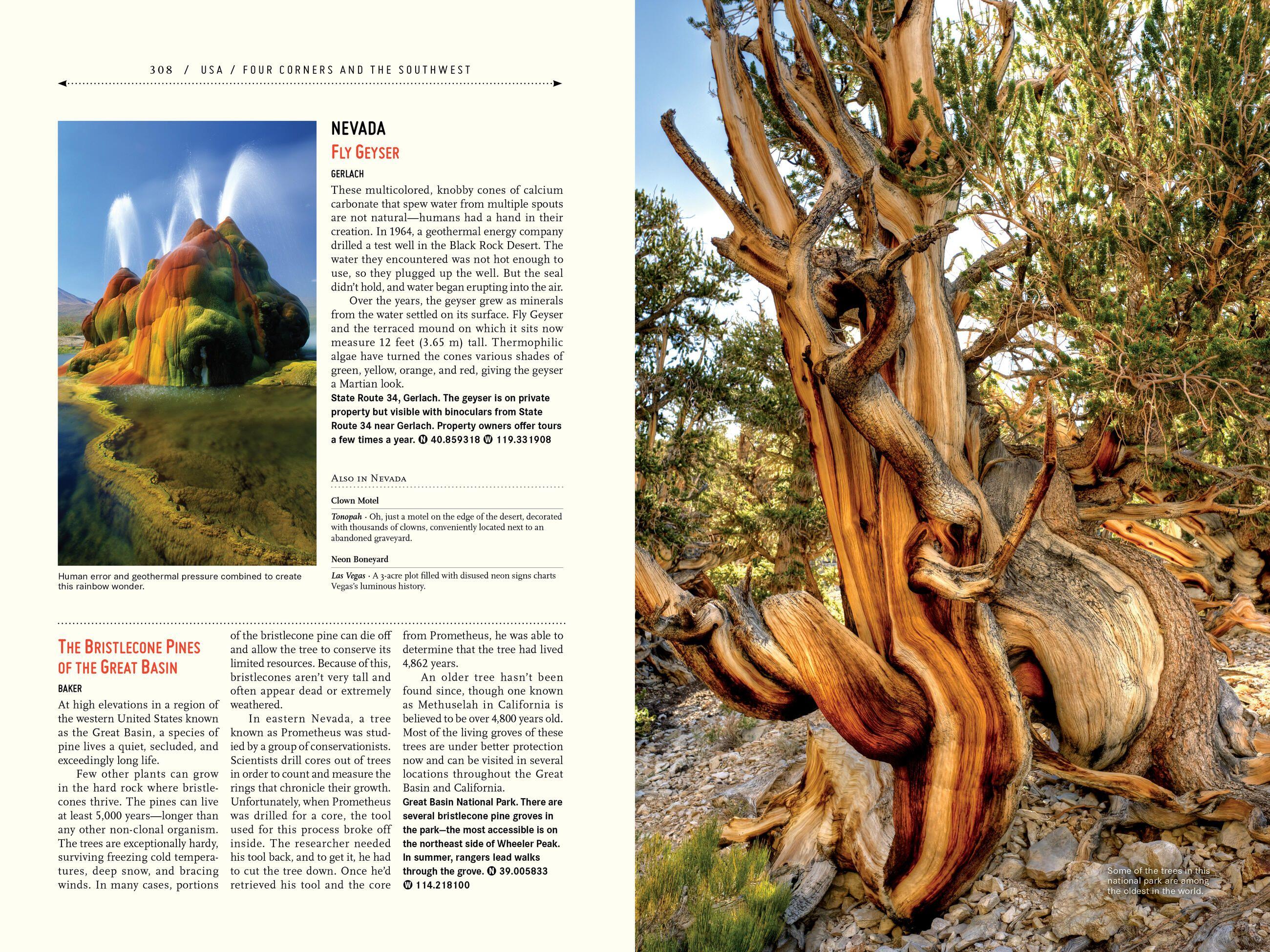 Beispielinhalt (Bild) Atlas Obscura