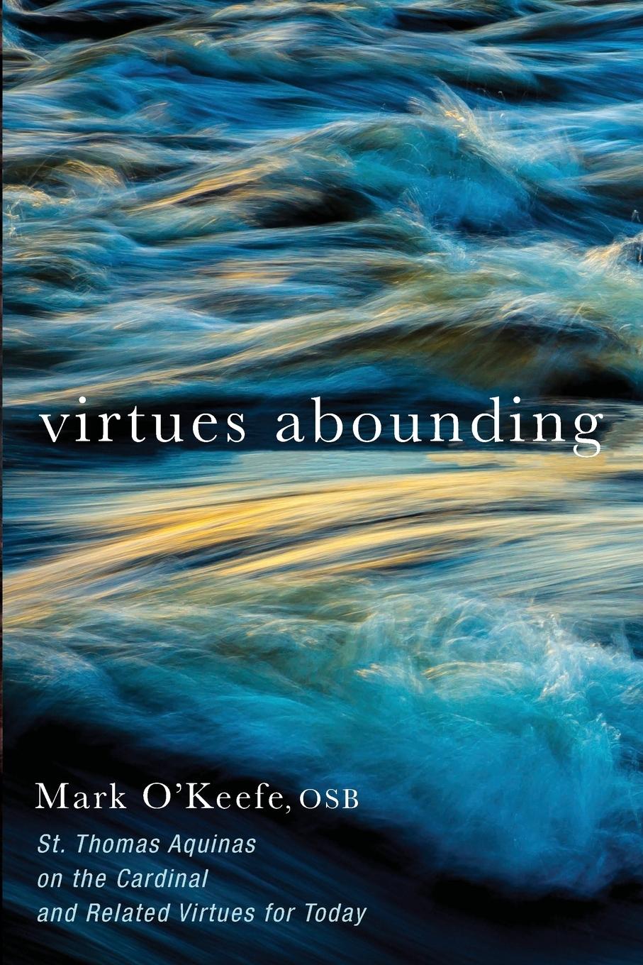 Vorderes Coverbild Virtues Abounding