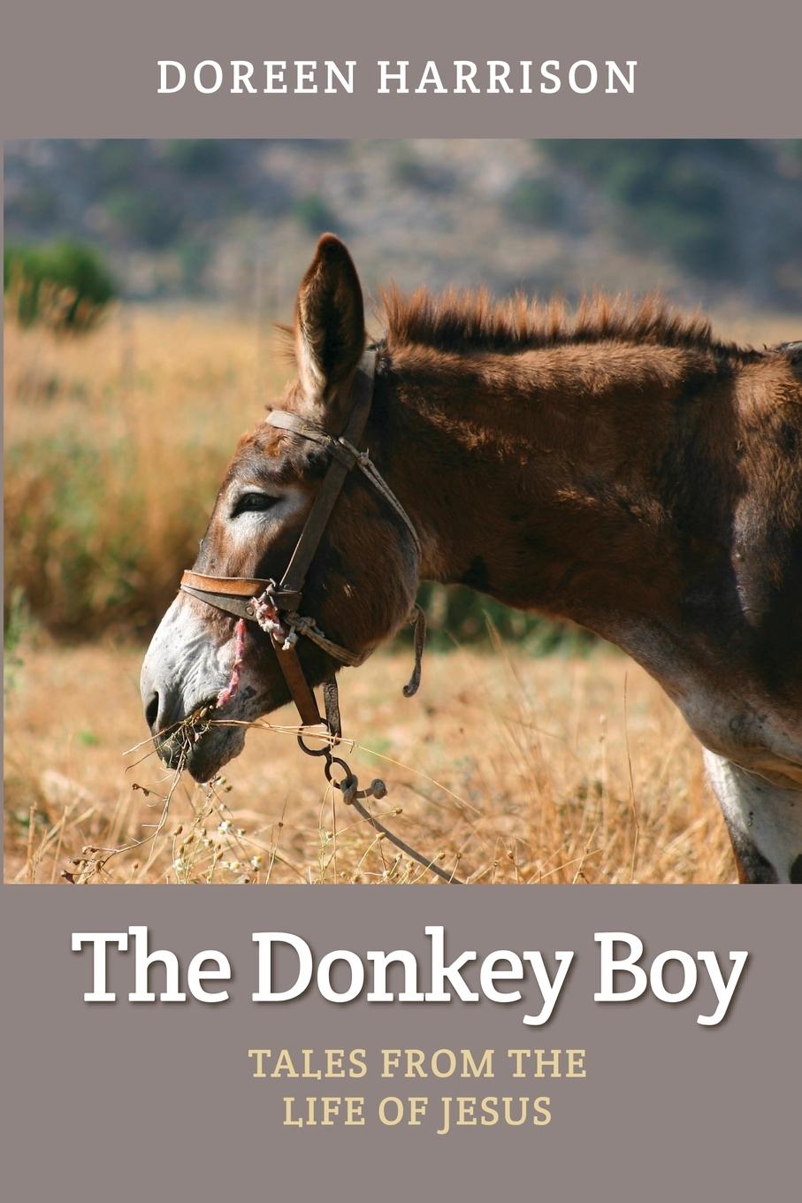 Vorderes Coverbild The Donkey Boy
