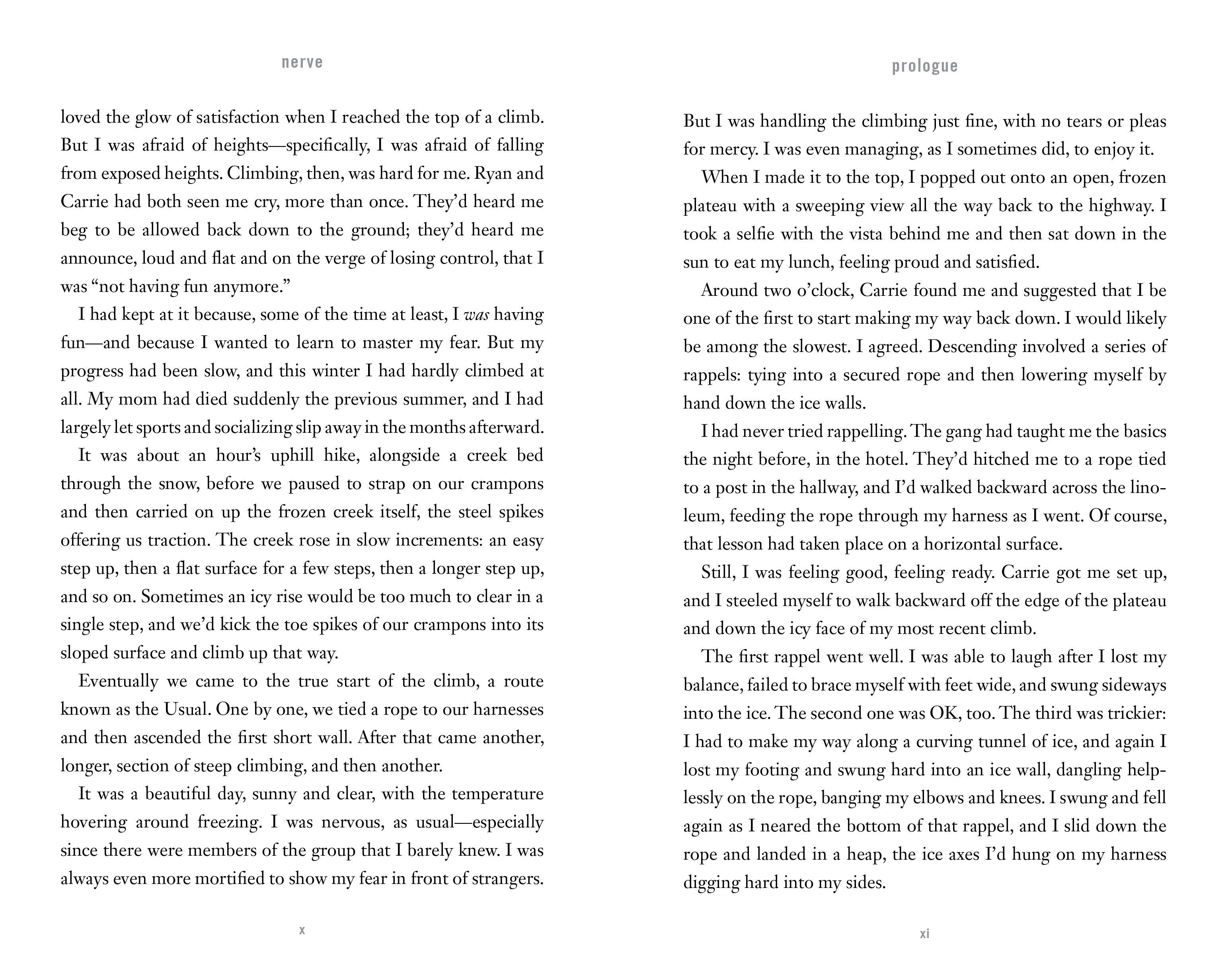 Beispielinhalt (Bild) Nerve