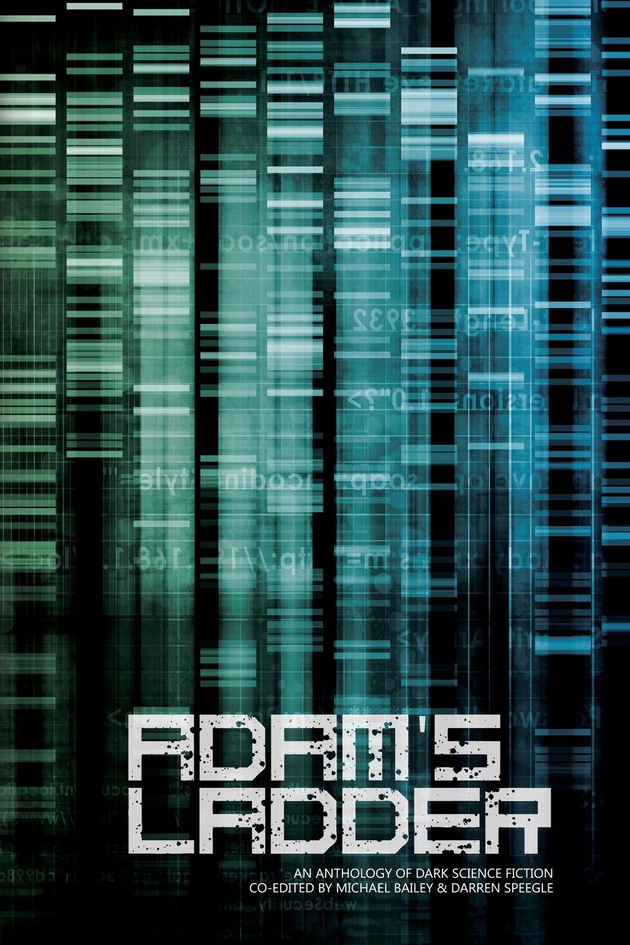 Vorderes Coverbild Adam's Ladder