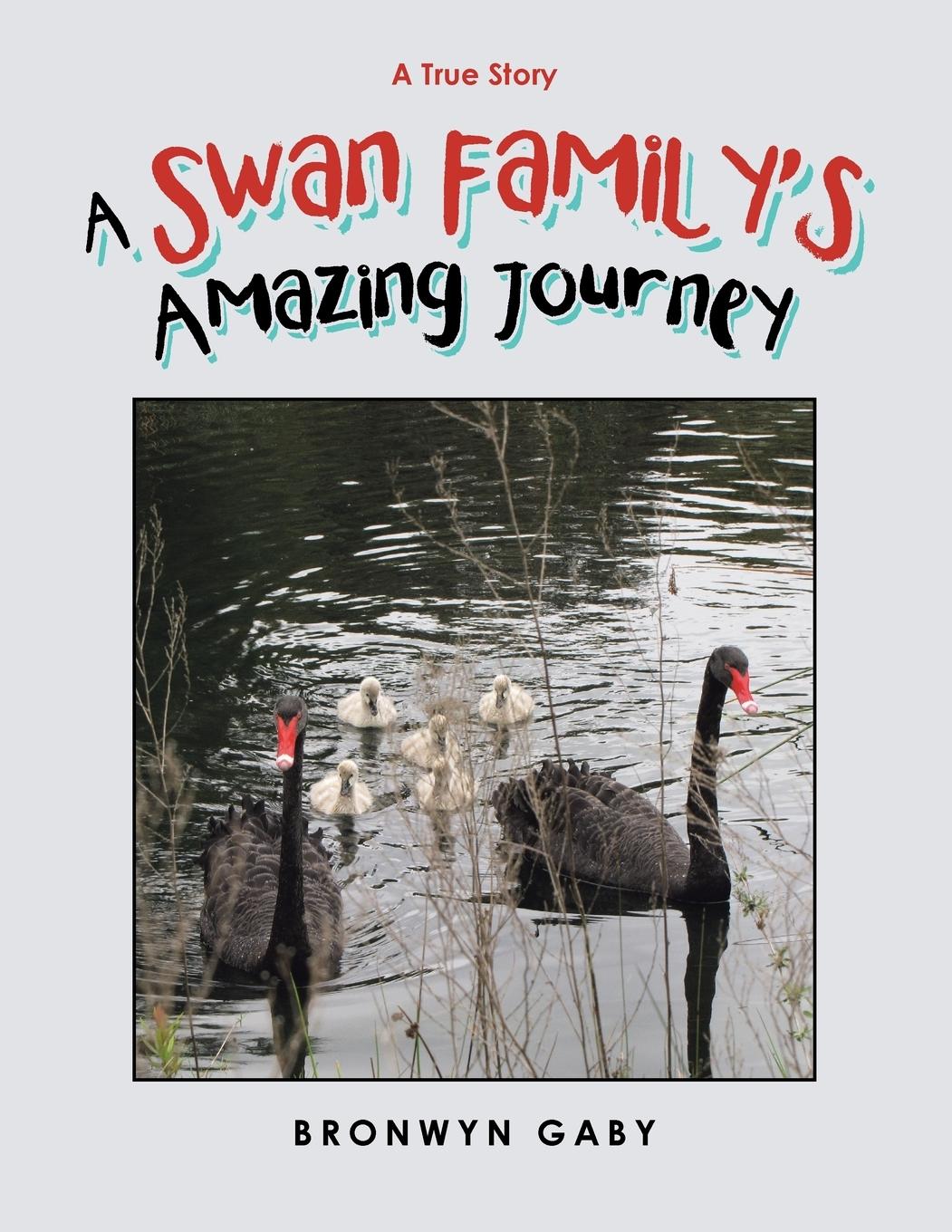 Vorderes Coverbild A Swan Family's Amazing Journey