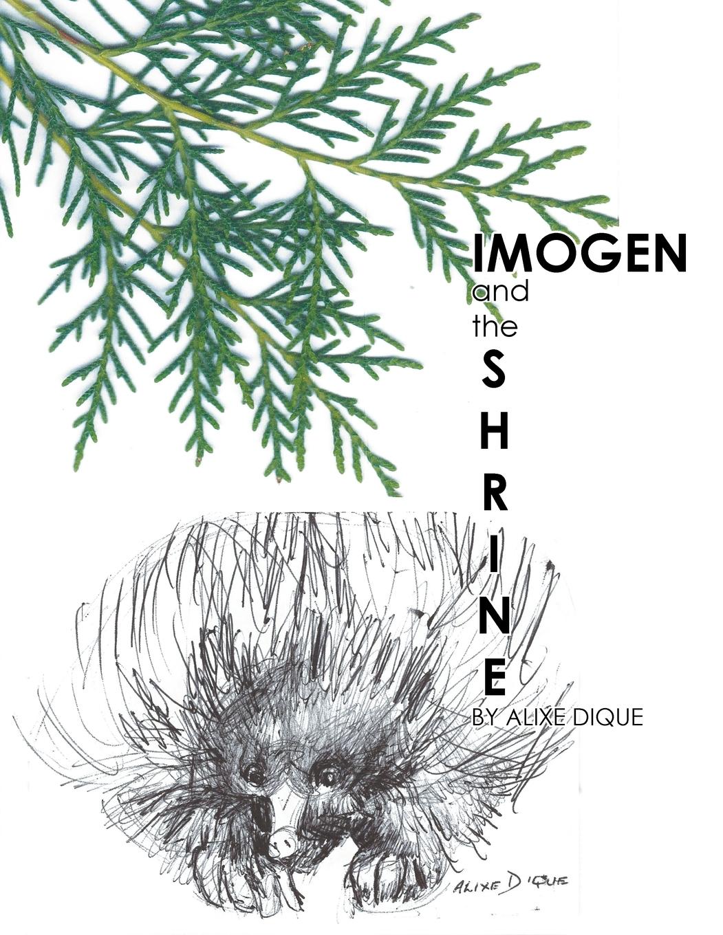 Vorderes Coverbild Imogen and the Shrine