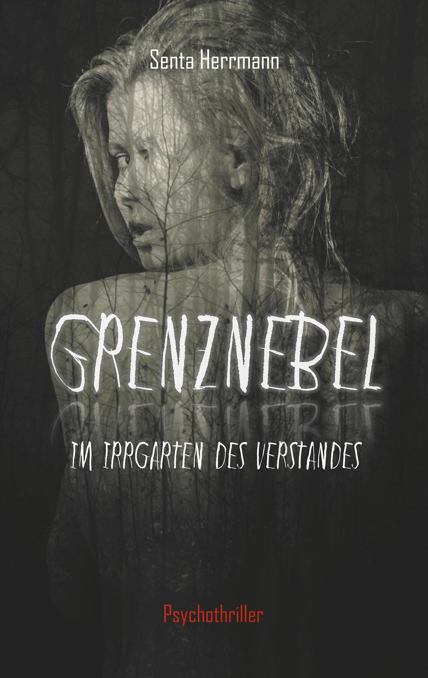 Vorderes Coverbild Grenznebel
